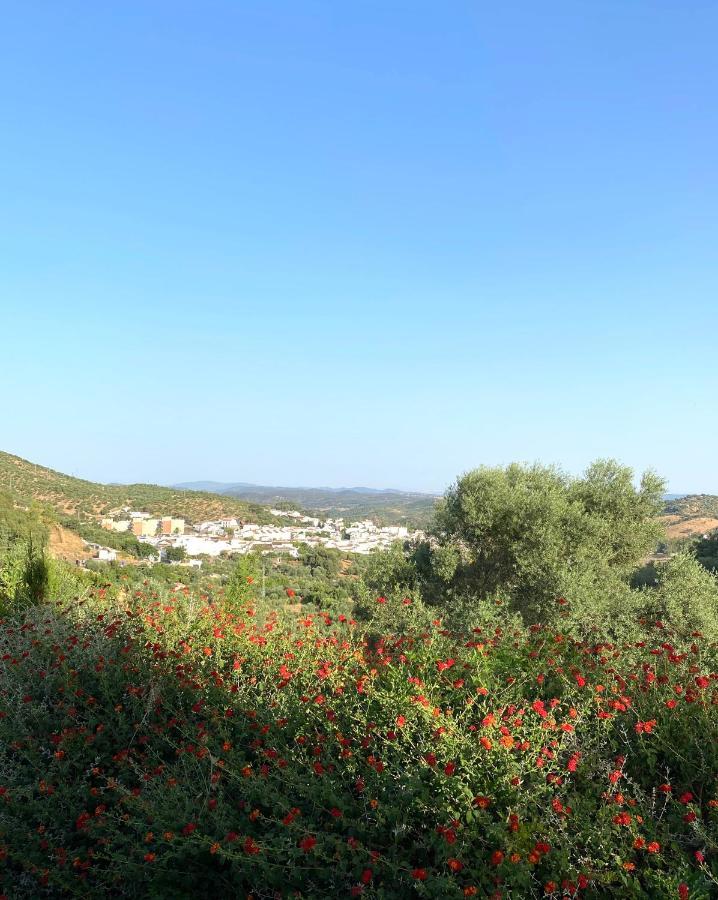 El Molino De La Quinta Lägenhet Constantina Exteriör bild