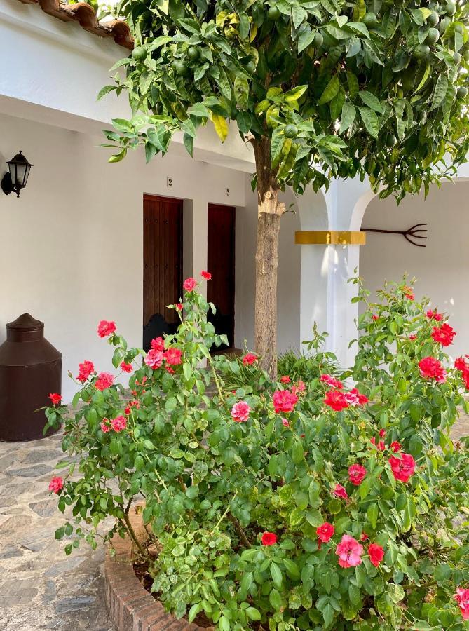 El Molino De La Quinta Lägenhet Constantina Exteriör bild