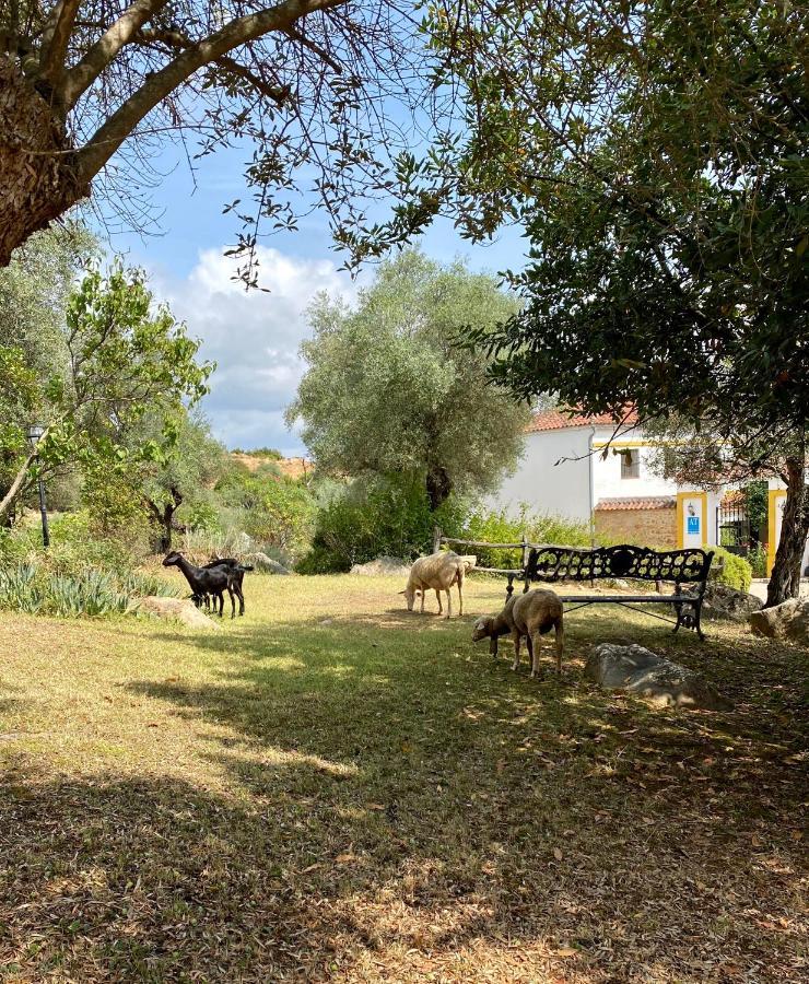 El Molino De La Quinta Lägenhet Constantina Exteriör bild